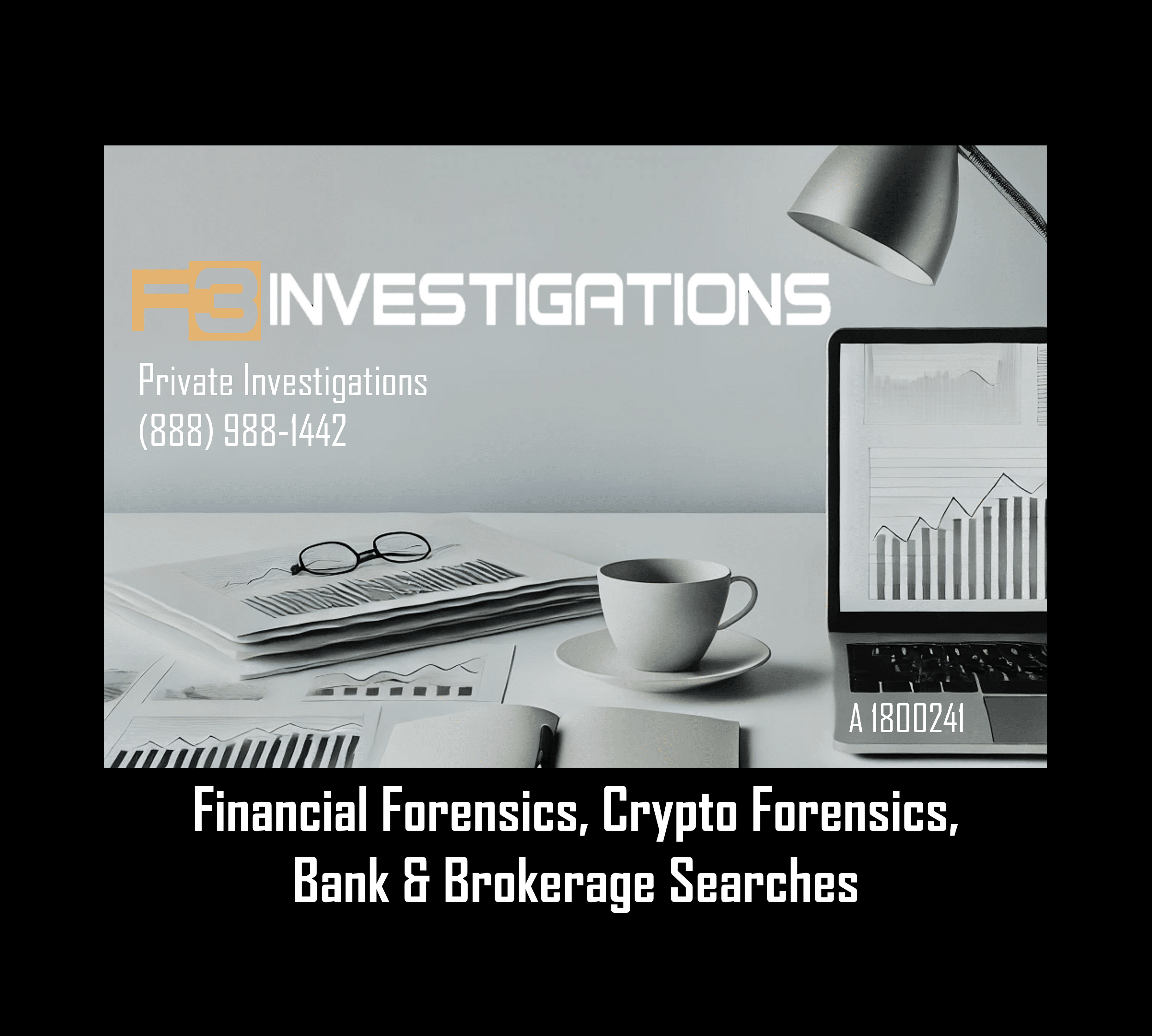 Financial forensics and investigations services overview.